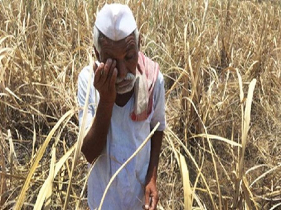 Relief to farmers, borrowers get this much time to repay amount