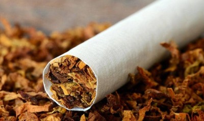 Consumption of tobacco on duty cost 9 government employees, challan of Rs 1600