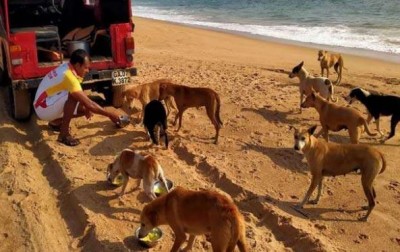 COVID-19 lockdown: Kerala and Goa people now feeding stray animals