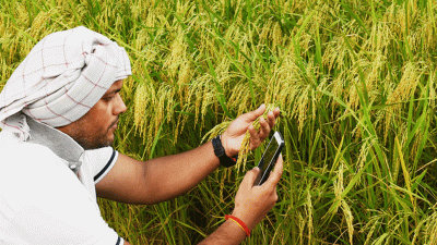 Now farmers will be able to sell crops from mobile, Government launched 'Kisan Rath' app