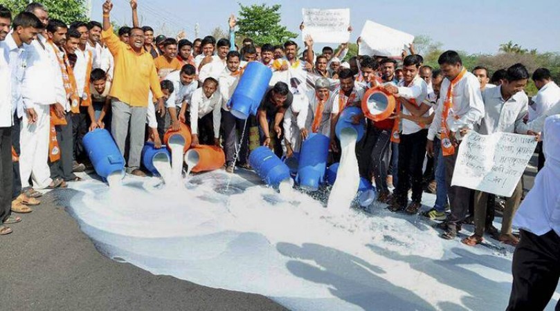 Maharashtra farmers dump hundreds of liters of milk on roads, Know reason