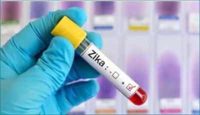 50-year-old woman found infected, Zika virus wreaks havoc in Maharashtra after Kerala