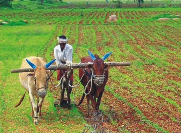 Good News! Rs 2000 to come into farmers' account on 9th August, check your name on the list