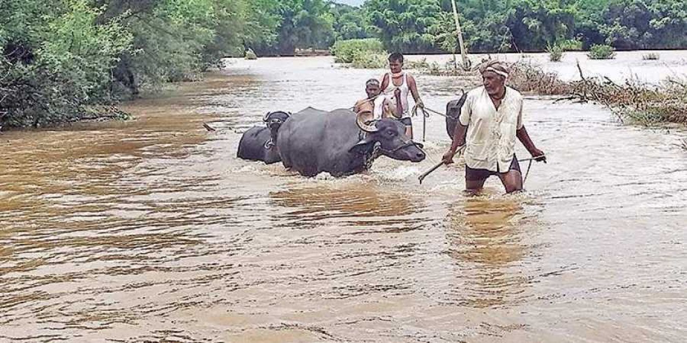 Heavy rain disrupts normal life in Maharashtra, water logging in several villages