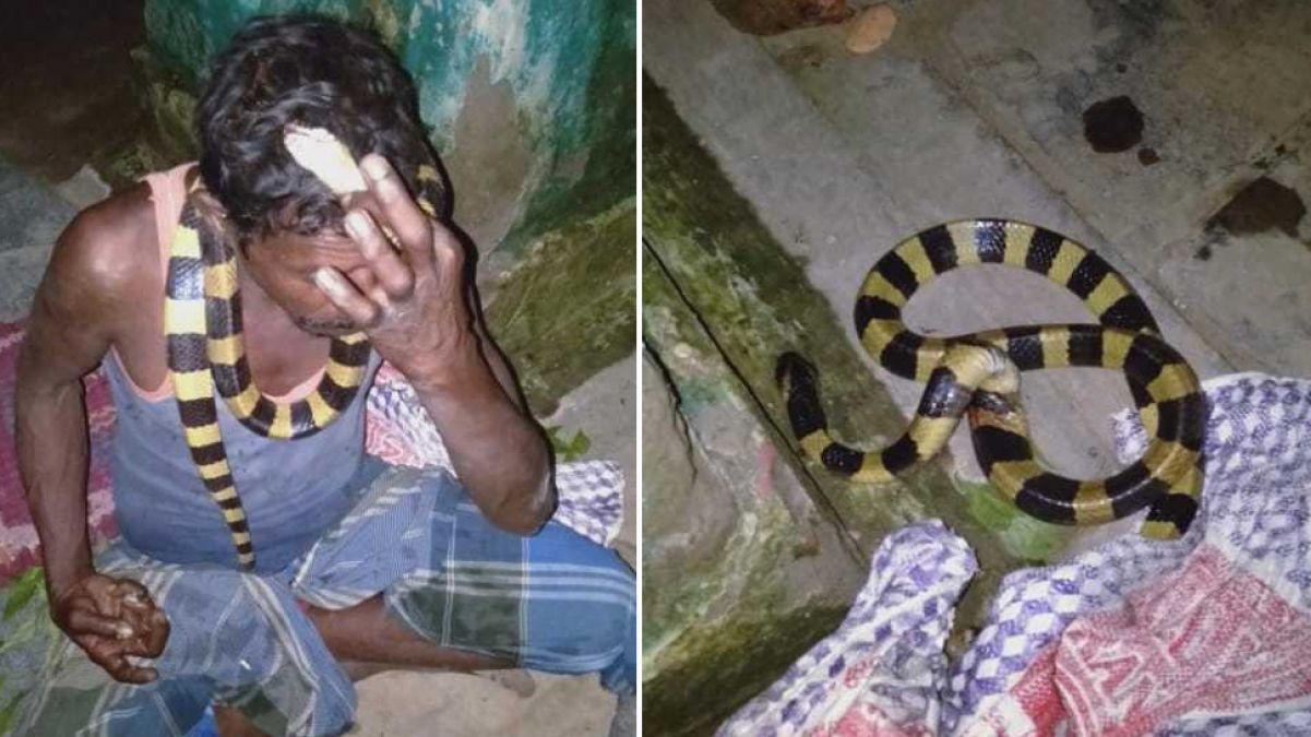 Man killed Rare species snake and hanged it around neck, police register case and sent accused to jail
