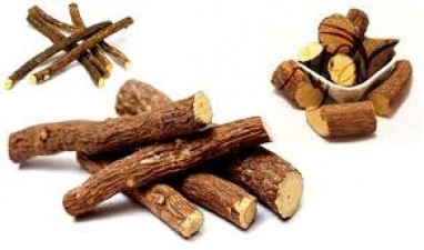 Liquorice Root is effective to boost the immune system, claims Gujarat Scientists