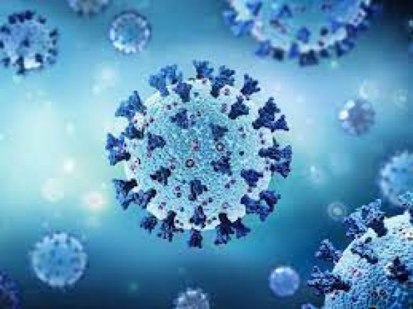 कोरोना होने के बाद माह बाद भी SARS-CoV-2 के खिलाफ एंटीबॉडी रहेगी स्थिर: अध्ययन