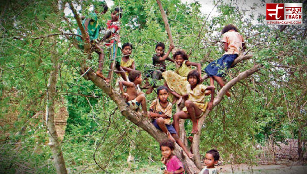 विश्व आदिवासी दिवस: क्या आदिवासियों को मिल रहे हैं वो अधिकार, जिनके हैं वे हक़दार