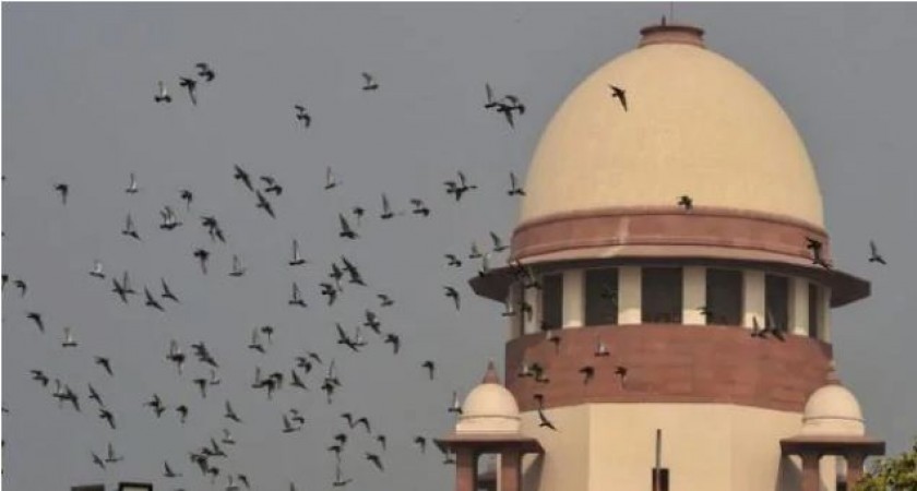 University Exam Case: Supreme Court Seeks Response from UGC on Petition