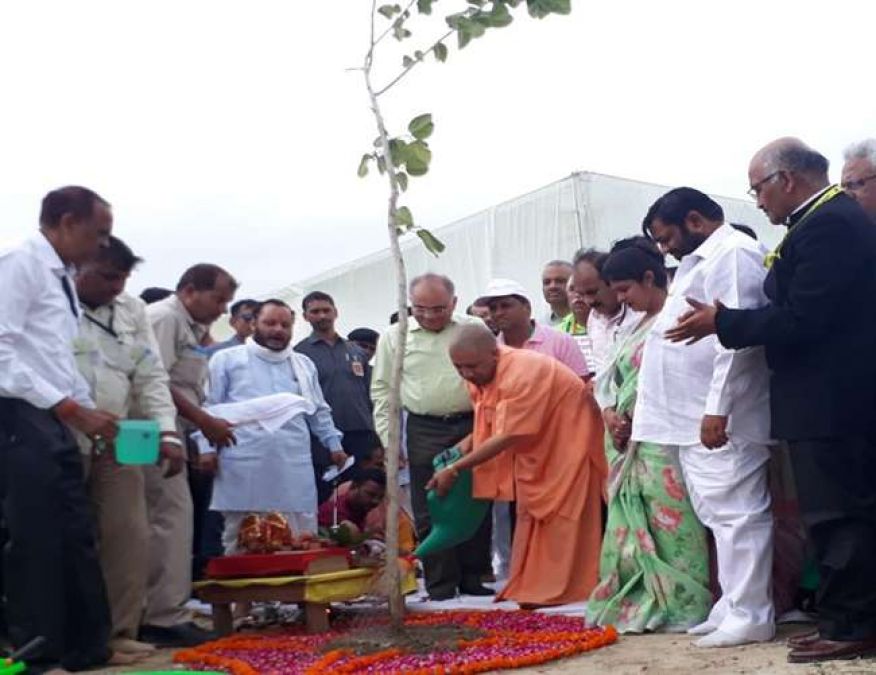 Uttar Pradesh registers new record, these many trees planted in a day
