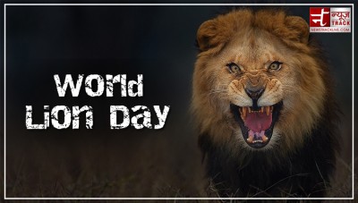 विश्व शेर दिवस: देश के साथ-साथ विदेशों में भी गूँज रही भारतीय सिंहों की दहाड़