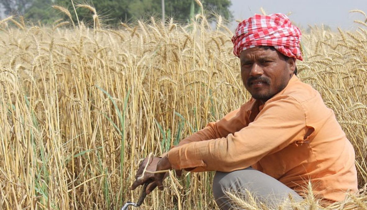 Jharkhand government's big gift to farmers, money directly deposited in bank accounts