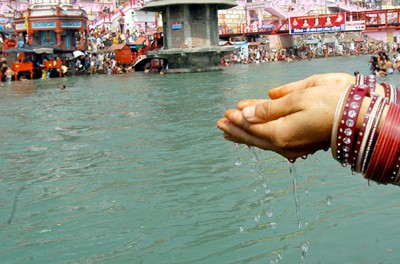 Bacteria making Gangajal nectar are becoming extinct: Research
