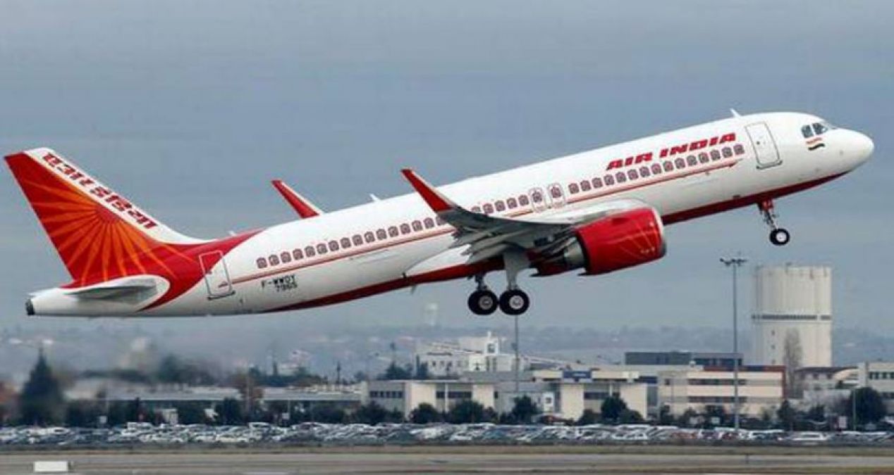 Dogs were wandering on the runway before Air India's flight landed and then...!