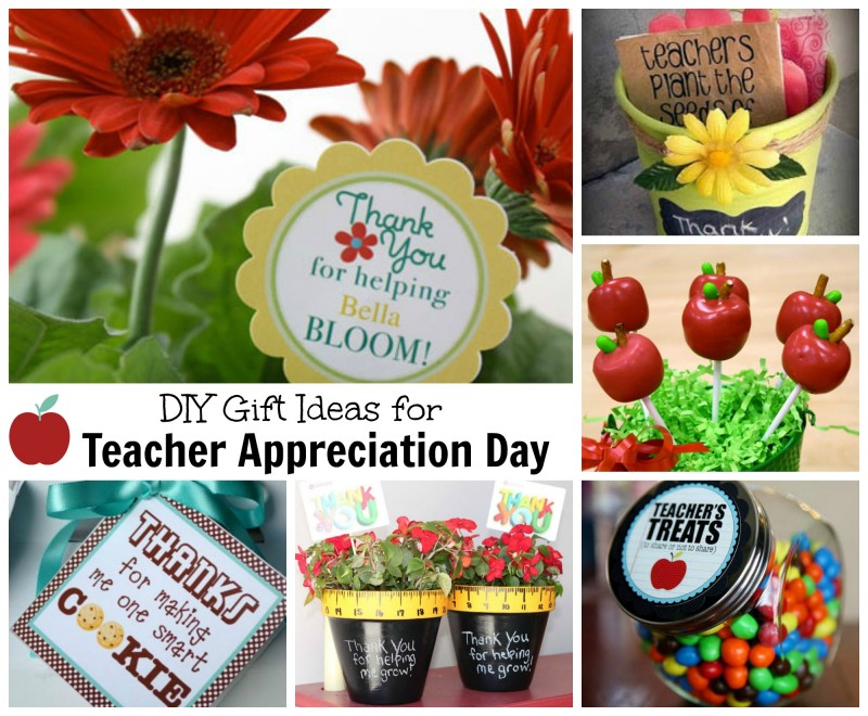 Teacher's Day: Give these 5 gifts to teachers to make their day memorable