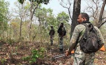 Naxalites attack police force in Gadchiroli, one constable martyred, one injured