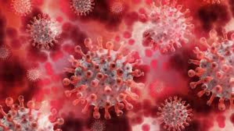 10 times deadly coronavirus found in Malaysia