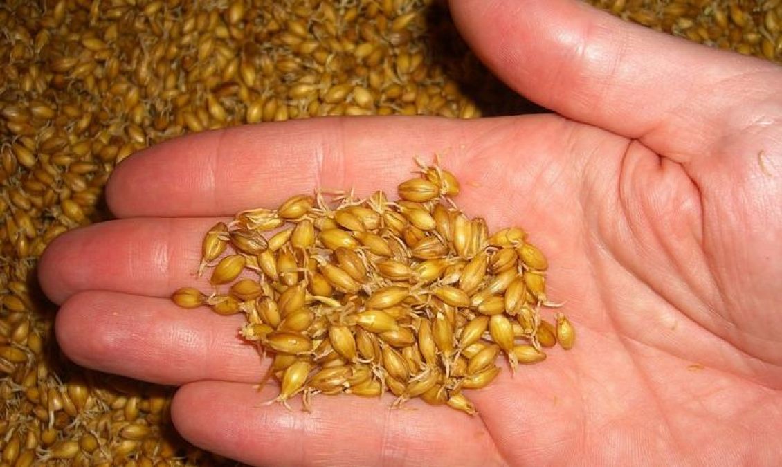 Indian wheat quality not improving