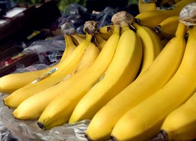 Scientist warns, 'banana is on verge of extinction'