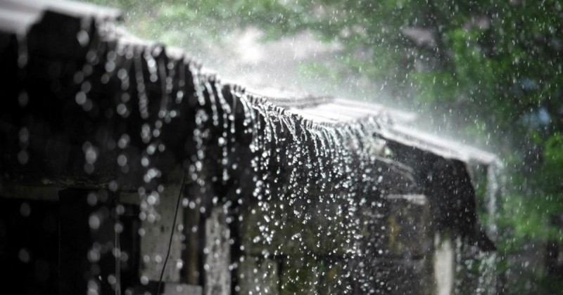 हरियाणा : इन जिलों में तेज बारिश की संभावना