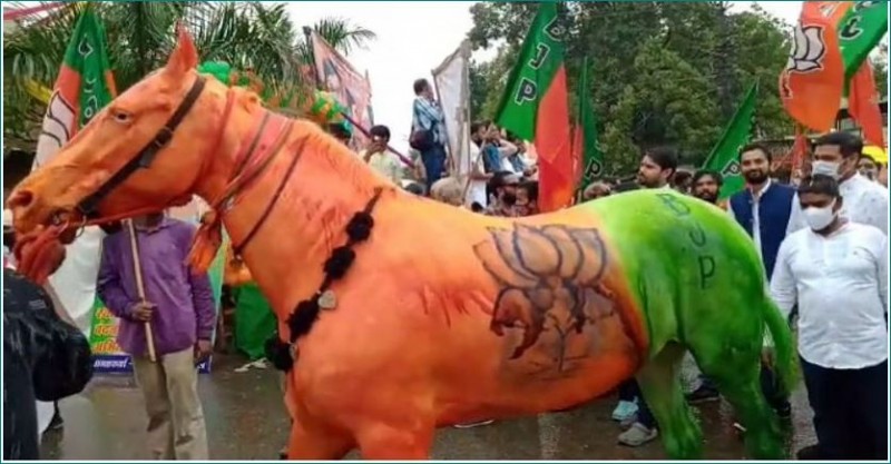 MP: Horse painted in BJP colors shown in Jan Ashirvad Yatra, NGO complains to police