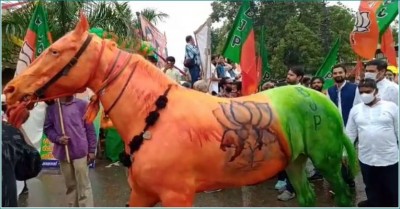 MP: जन आशीर्वाद यात्रा में दिखा BJP के रंगों में रंगा घोड़ा, NGO ने पुलिस में की शिकायत