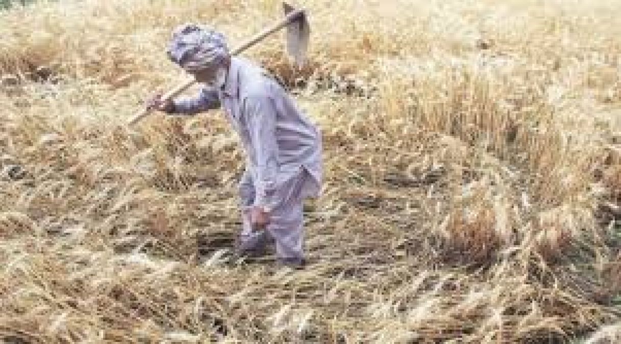 उत्तर प्रदेश: कर्ज को बोझ तले दबे किसान ने उठाया यह हैरतअंगेज कदम