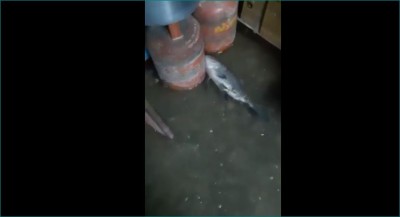 Video: पानी से लबालब हुआ यशवंत सागर, लोगों के घरों में पहुंची मछलियां