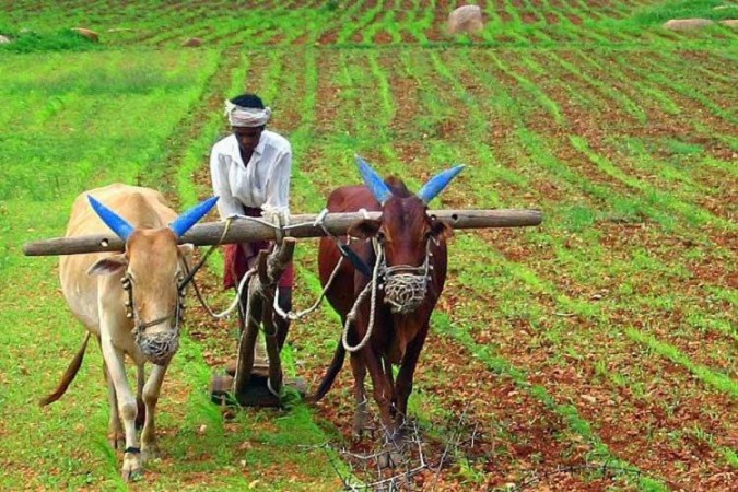 इस राज्य में किसानों को मिलते हैं 5 लाख रुपये, जानिए कैसे?