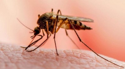 Malaria wreaks havoc after Corona in Delhi, 6-year-old child dies