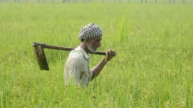 किसानों को शिवराज सरकार ने दिया बड़ा तोहफा, अकाउंट में डाले 2-2 हज़ार रुपए