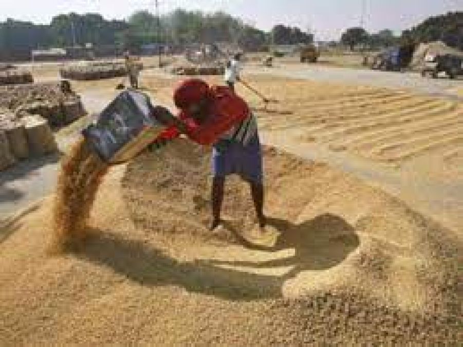 Procurement of paddy in the state to begin from December 15