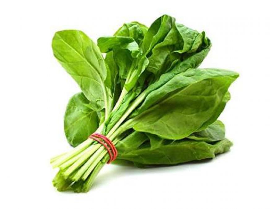 Spinach proves to be panacea for diseases, contains magical benefits