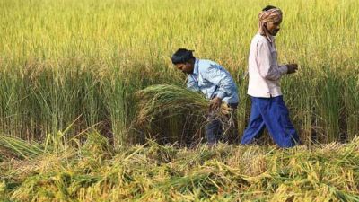 अब कर्नाटक की तर्ज पर किसानों को लोन देगी गहलोत सरकार, मिलेगी इतनी रियायत
