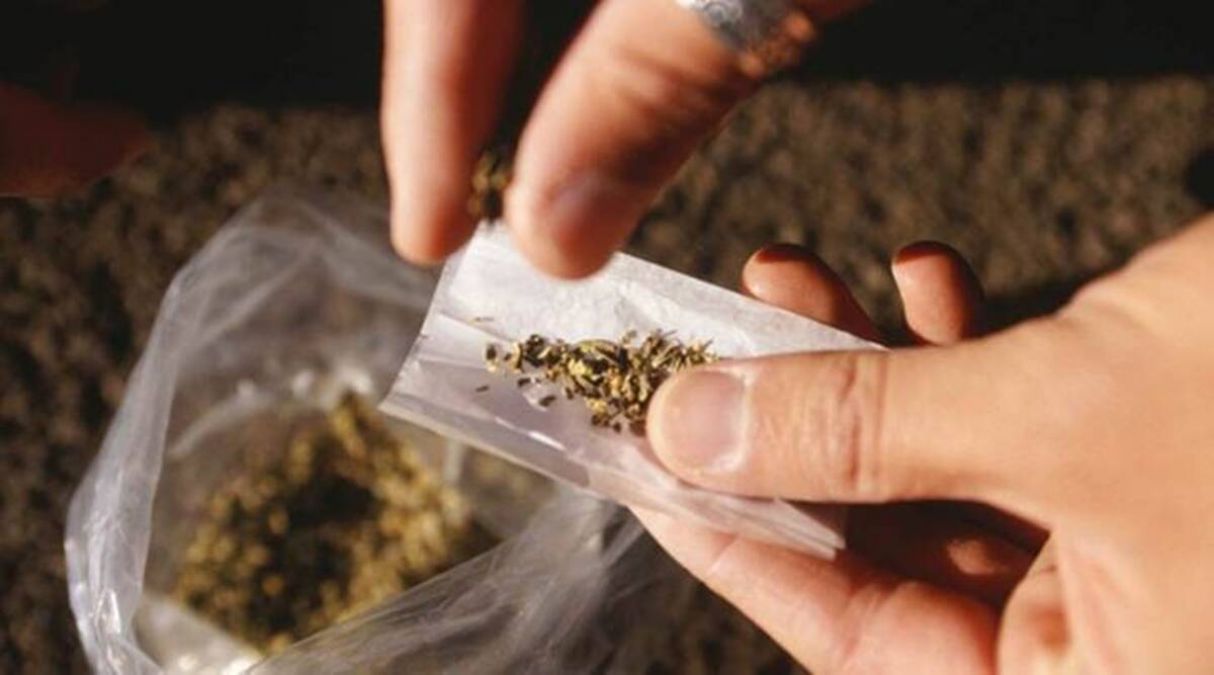 Cannabis seizure in Bihar, Nagaland and UP, revealed in DRI report, concerns for national security