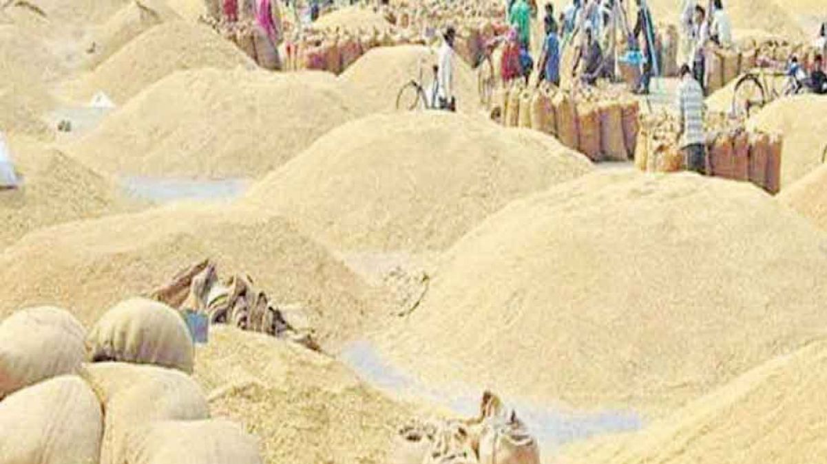 Chhattisgarh: Paddy procurement continues, over 75 thousand farmers have been paid