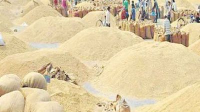 Chhattisgarh: Paddy procurement continues, over 75 thousand farmers have been paid