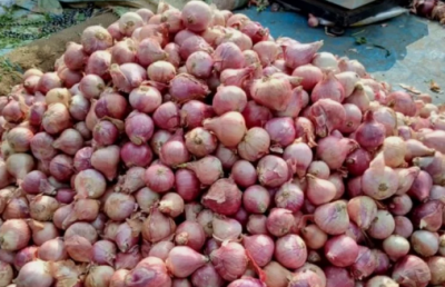 Special offer by cloth store, one kg onion free on purchase of items worth Rs. 1,000