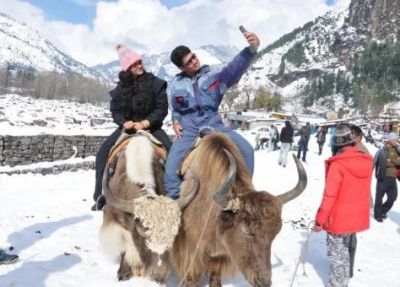 Shimla experiences snowfall again, Keylong temperature falls to minus 12 degrees