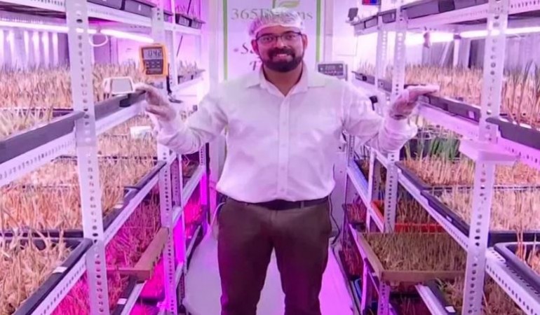 Amazing! This man grew saffron crops without soil