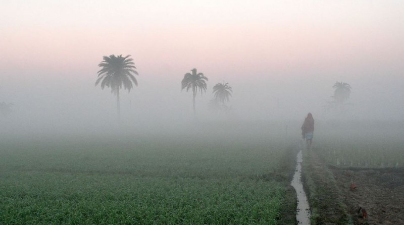 Dense fog engulfs north India, visibility in Bathinda rises to 0