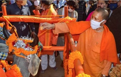 Uttar Pradesh: Yogi government to open 120 new cow shelters