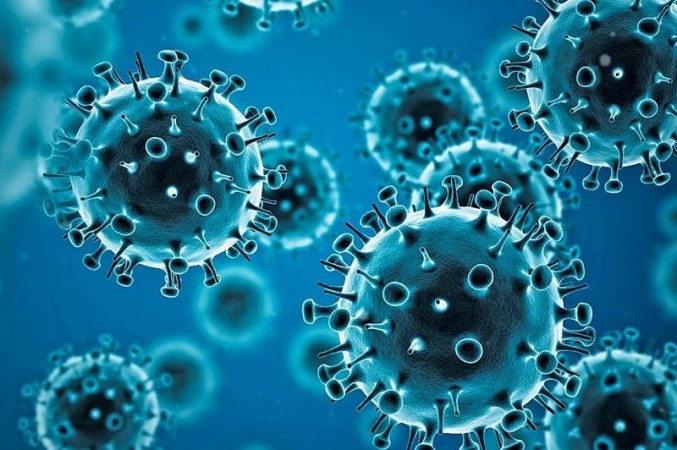 Corona virus is gaining momentum in Madhya Pradesh