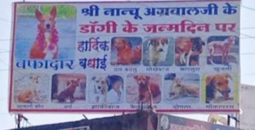 Hoardings were put on the birthday of the dog, Politicians were criticized