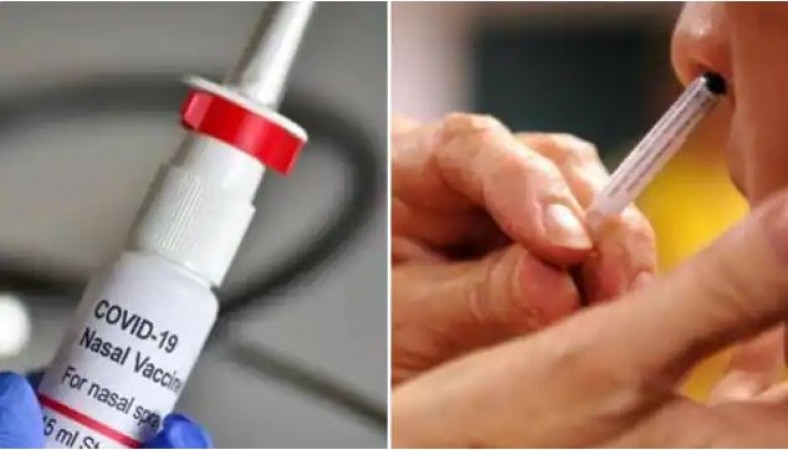भारतीय बाजार में जल्द उपलब्ध होगी नेजल वैक्सीन, हुआ कीमतों का खुलासा !
