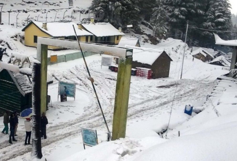 उत्तर भारत : ठंड ने लिया विकराल रूप, उत्तरप्रदेश में सर्दी से 28 लोगो की मौत