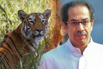 Uddhav Thackeray responds to question on tiger deaths