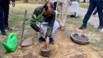 अंकुर कार्यक्रम के तहत रोप गए 37 लाख से अधिक पौधे, CM से लेकर आमजन ने की सहभागिता