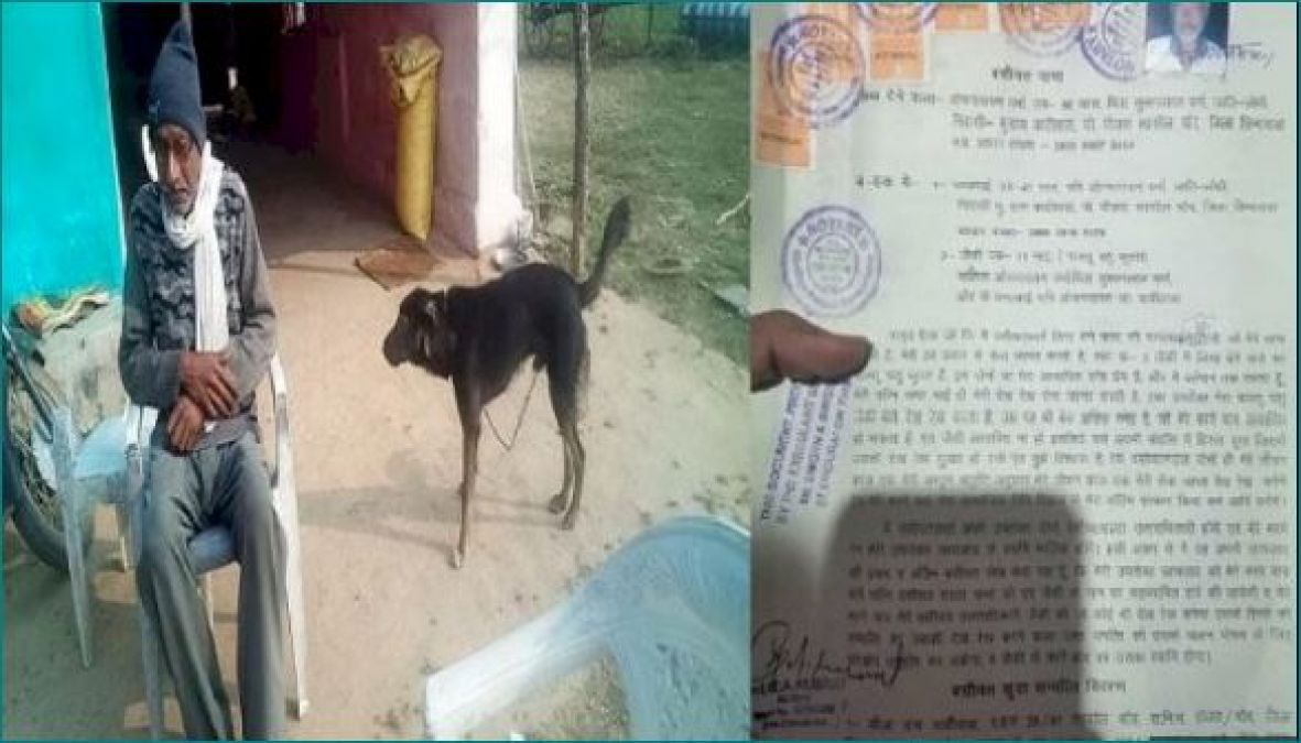 Young man from Madhya Pradesh gives his property to his pet dog