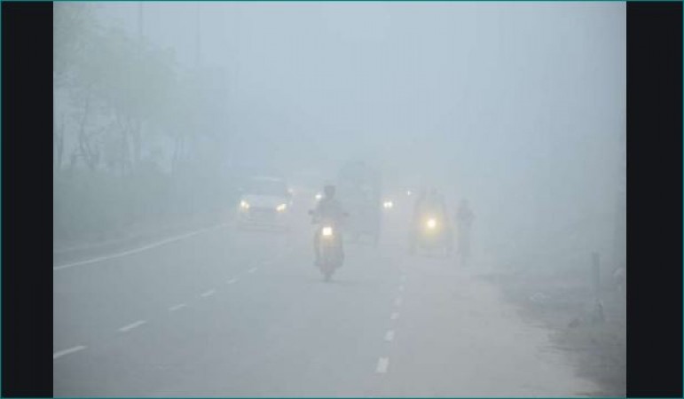Cold waves wreaking havoc in MP, dense fog expected in coming days